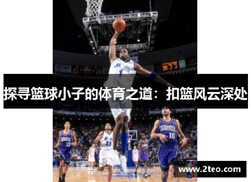 探寻篮球小子的体育之道：扣篮风云深处